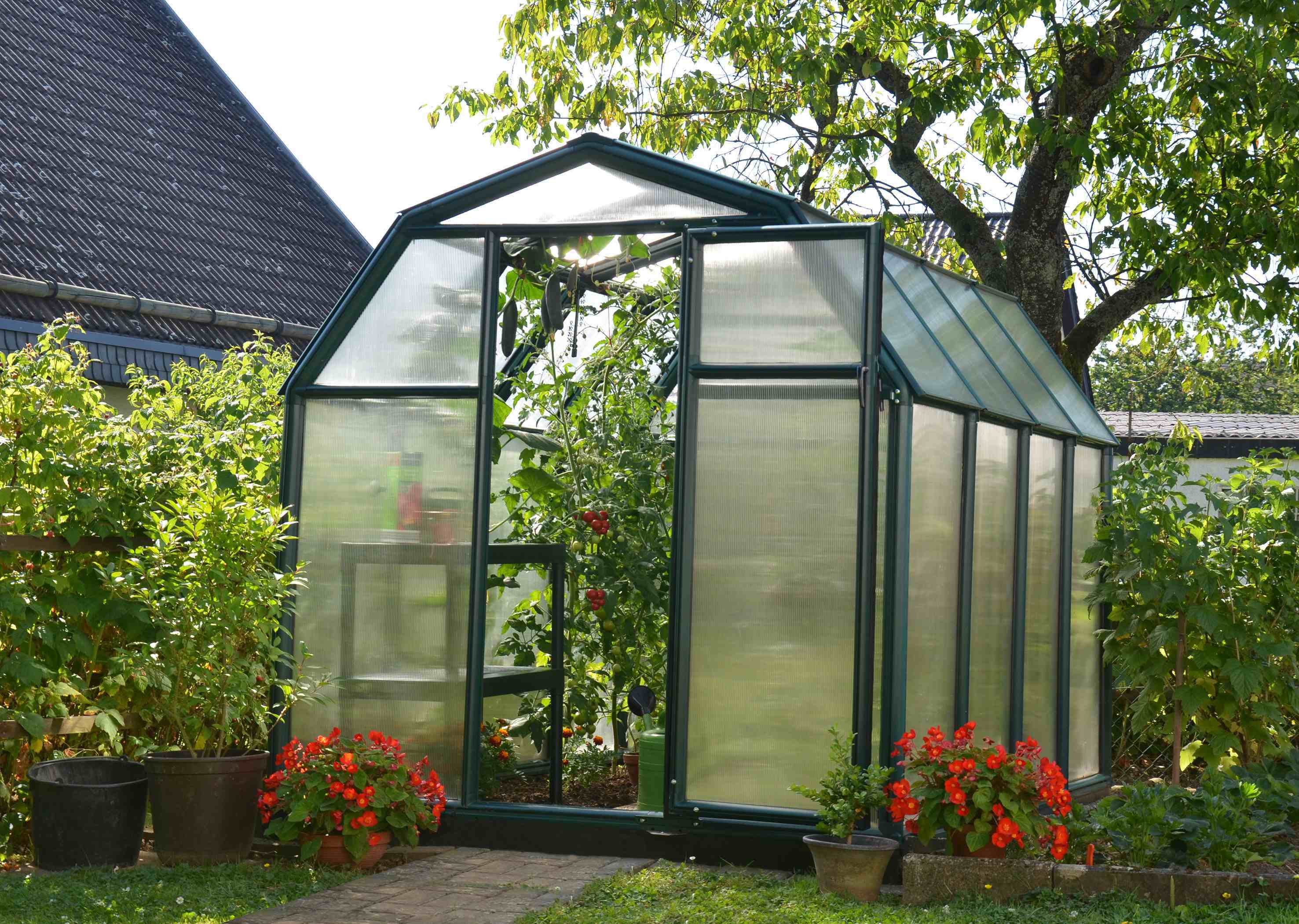 Rion EcoGrow Resin Frame 6ft x 8ft Polycarbonate Greenhouse