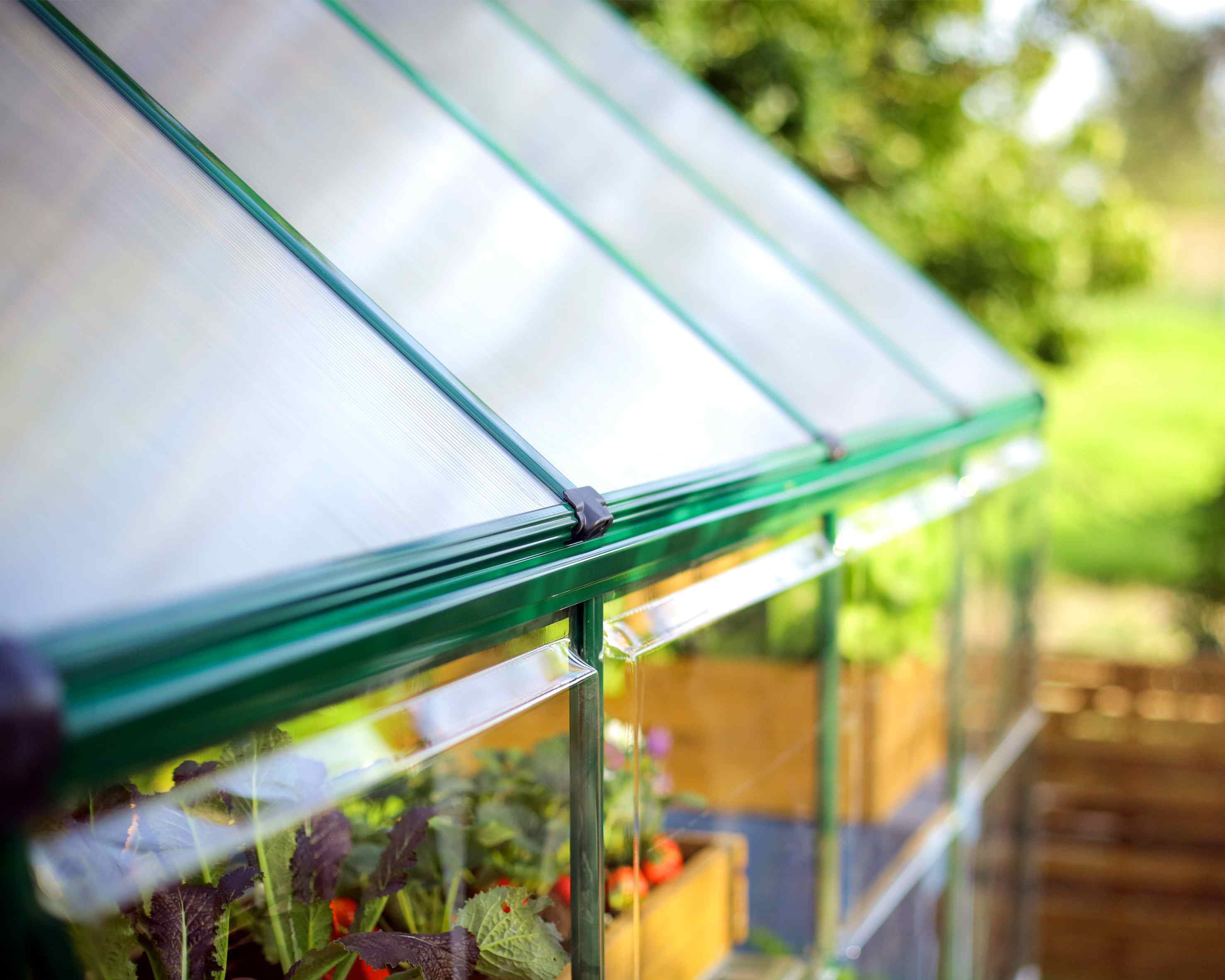 Hybrid Aluminium Frame 6ft x 12ft Green Polycarbonate Greenhouse - Canopia by Palram