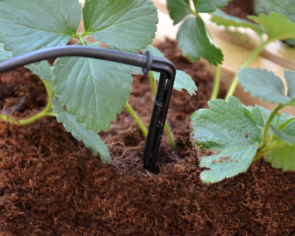 Canopia By Palram Greenhouses drip irrigation kit