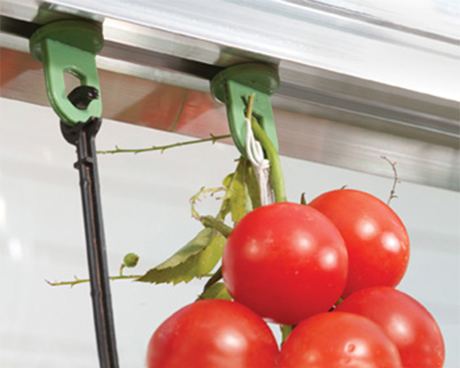 Canopia By Palram Greenhouse plant hangers kit