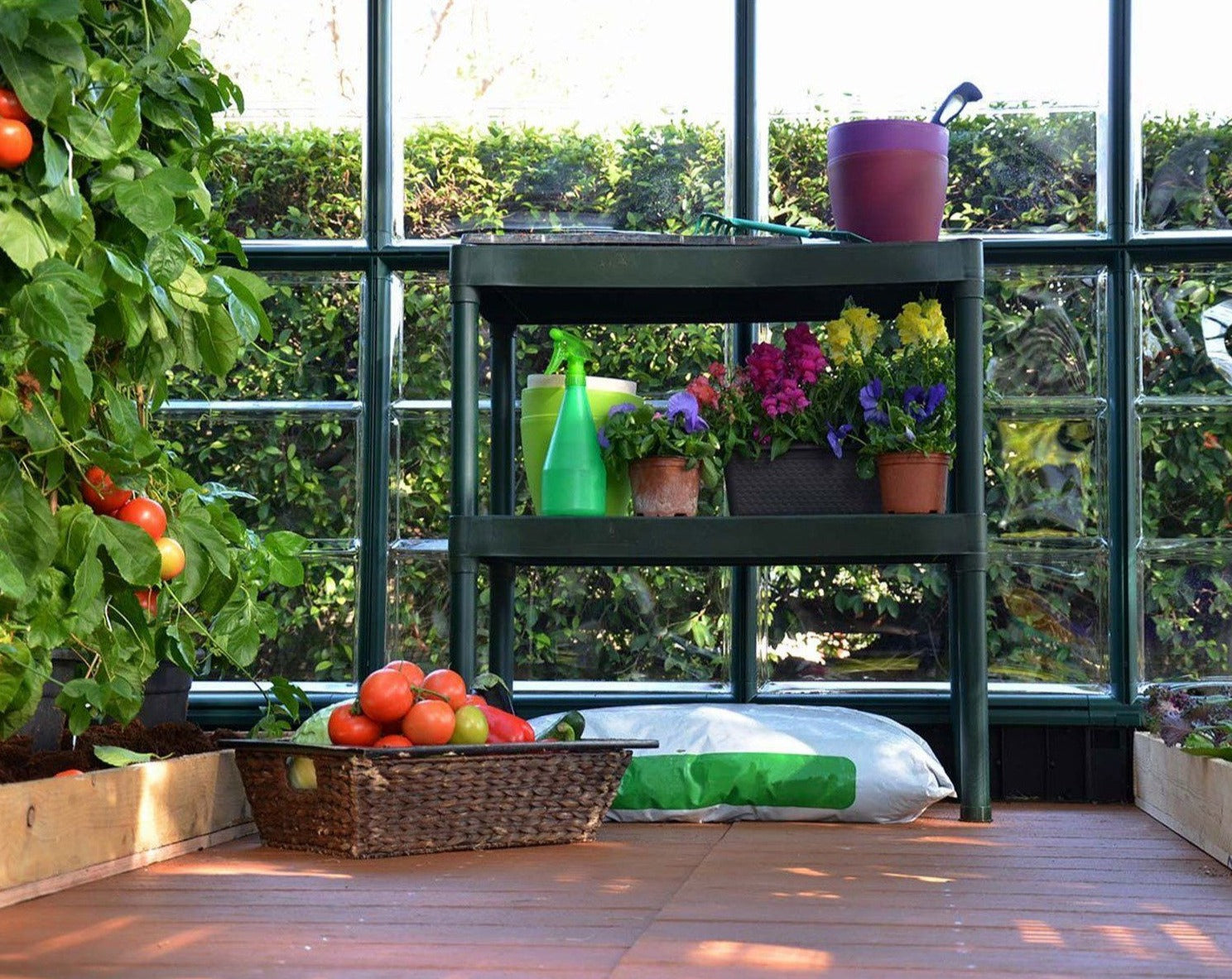 Rion 2 Tier Staging Greenhouse Bench in Green - Canopia By Palram