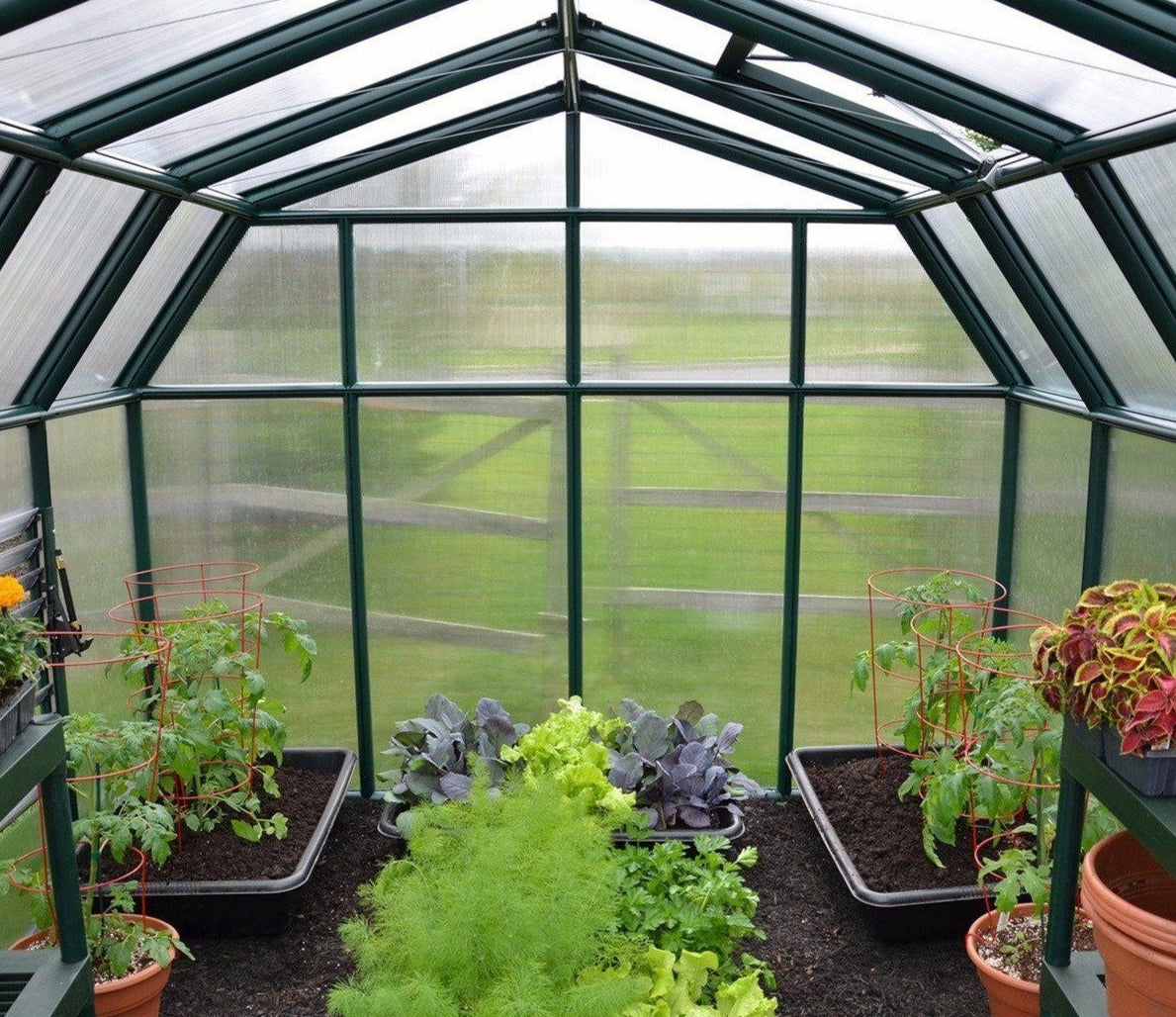 Rion Hobby Gardener Resin Frame 8ft x 20ft Polycarbonate Greenhouse