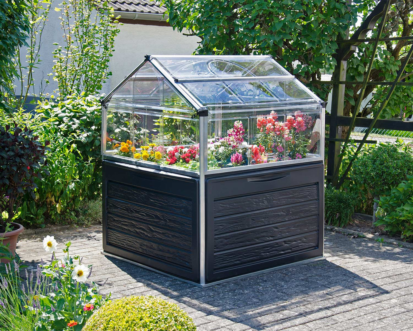 small polycarbonate greenhouse