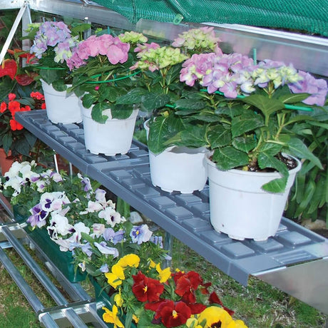 Palram Canopia Twin Shelf Kit