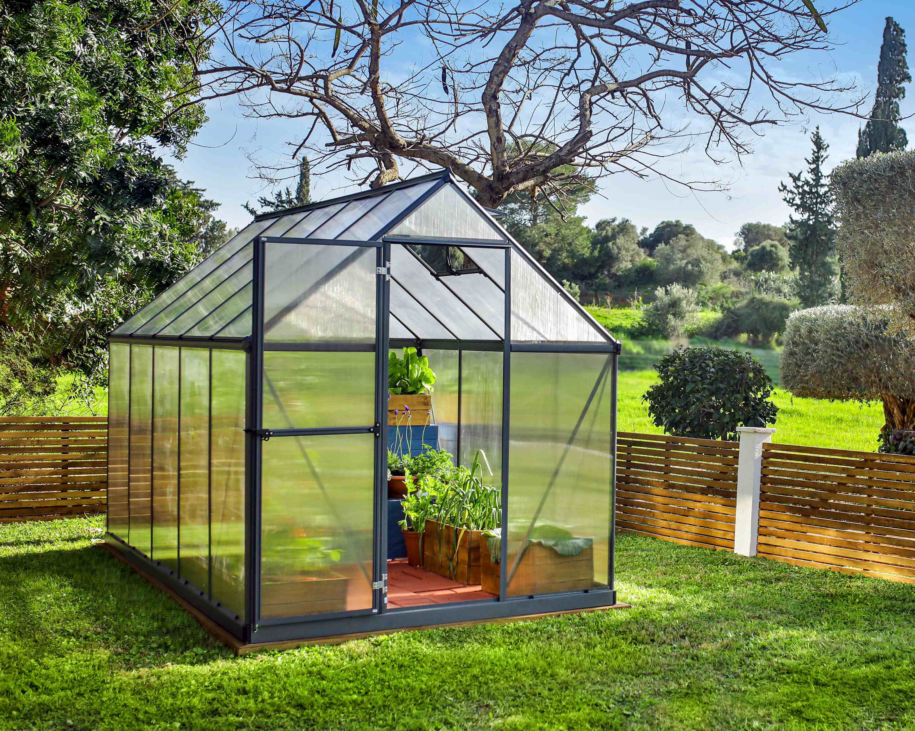 Mythos Aluminium Frame 6ft x 10ft Grey Polycarbonate Greenhouse - Canopia by Palram