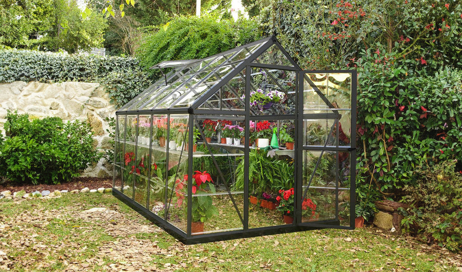 Harmony Aluminium Frame 6ft x 10ft Grey Polycarbonate Greenhouse - Canopia by Palram