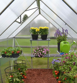 Mythos Aluminium Frame 6ft x 8ft Polycarbonate Greenhouse in Silver - Canopia by Palram