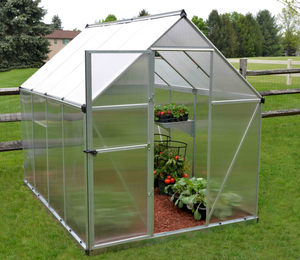 Mythos Aluminium Frame 6ft x 8ft Polycarbonate Greenhouse in Silver - Canopia by Palram