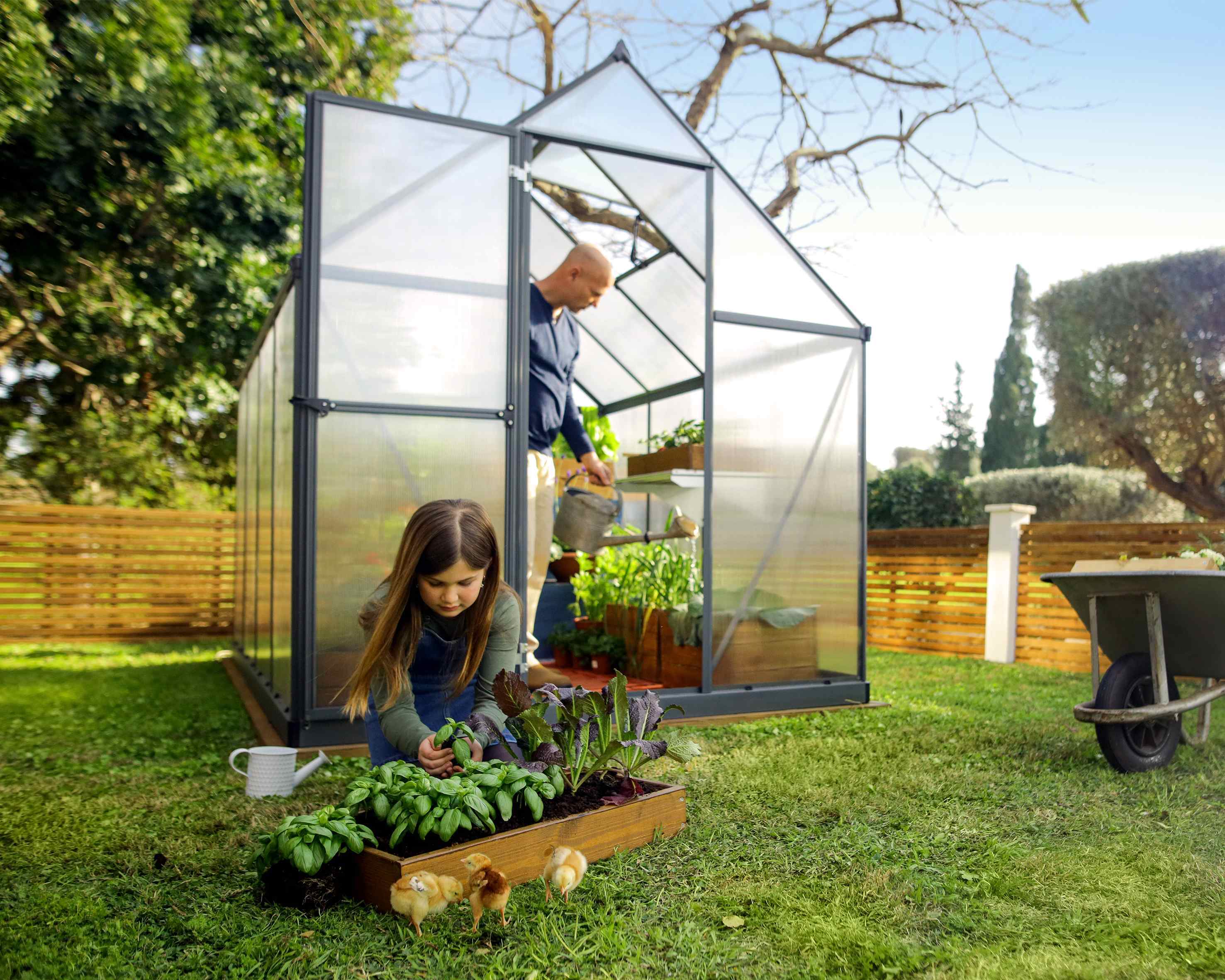 Mythos Aluminium Frame 6ft x 8ft Polycarbonate Greenhouse in Grey - Canopia by Palram