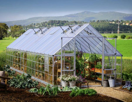 Balance Aluminium Frame 10ft x 32ft Polycarbonate Greenhouse Kit - Silver - Canopia by Palram