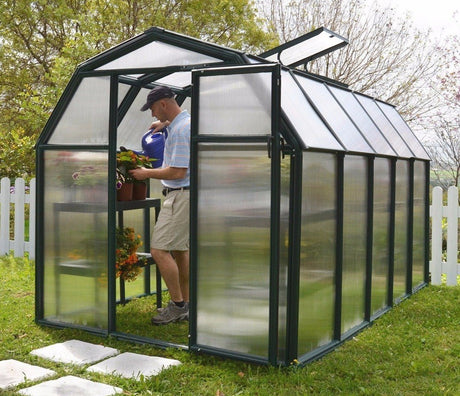 Palram Canopia Rion EcoGrow 6 x 10 ft Greenhouse