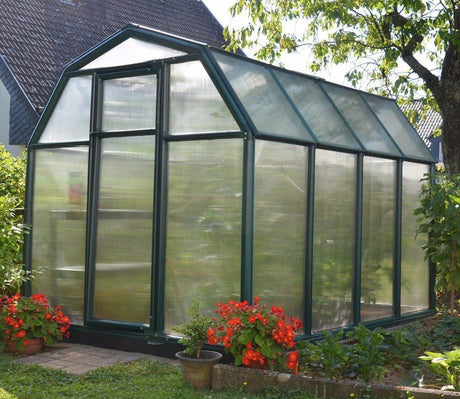 Palram Canopia Rion EcoGrow 6 x 8 ft Greenhouse